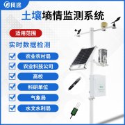 玉米“大小苗”怎么辦？