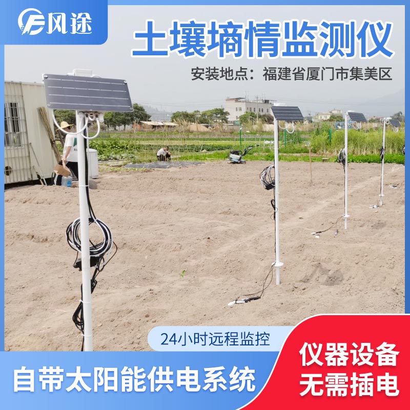 土壤水分實(shí)時(shí)監(jiān)測(cè)設(shè)備是如何在菠蘿園發(fā)揮作用的？